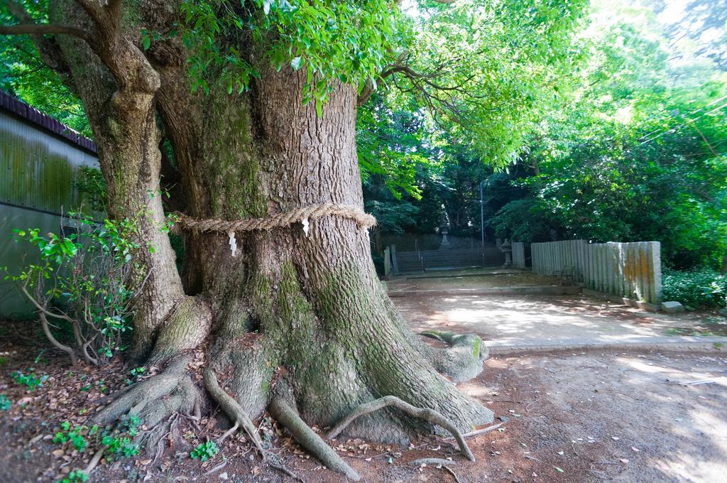 なにもない幸せな島のリトリート宿 The Bonds Matsuyama  Exterior foto